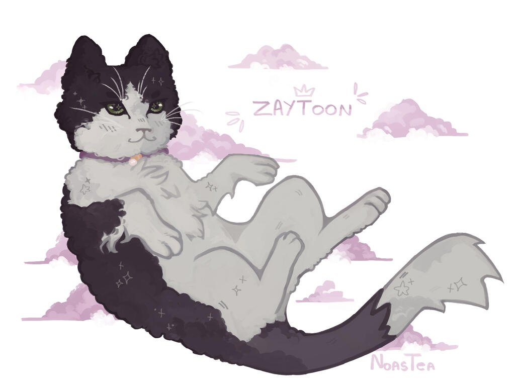 noa - zaytoon my beloved